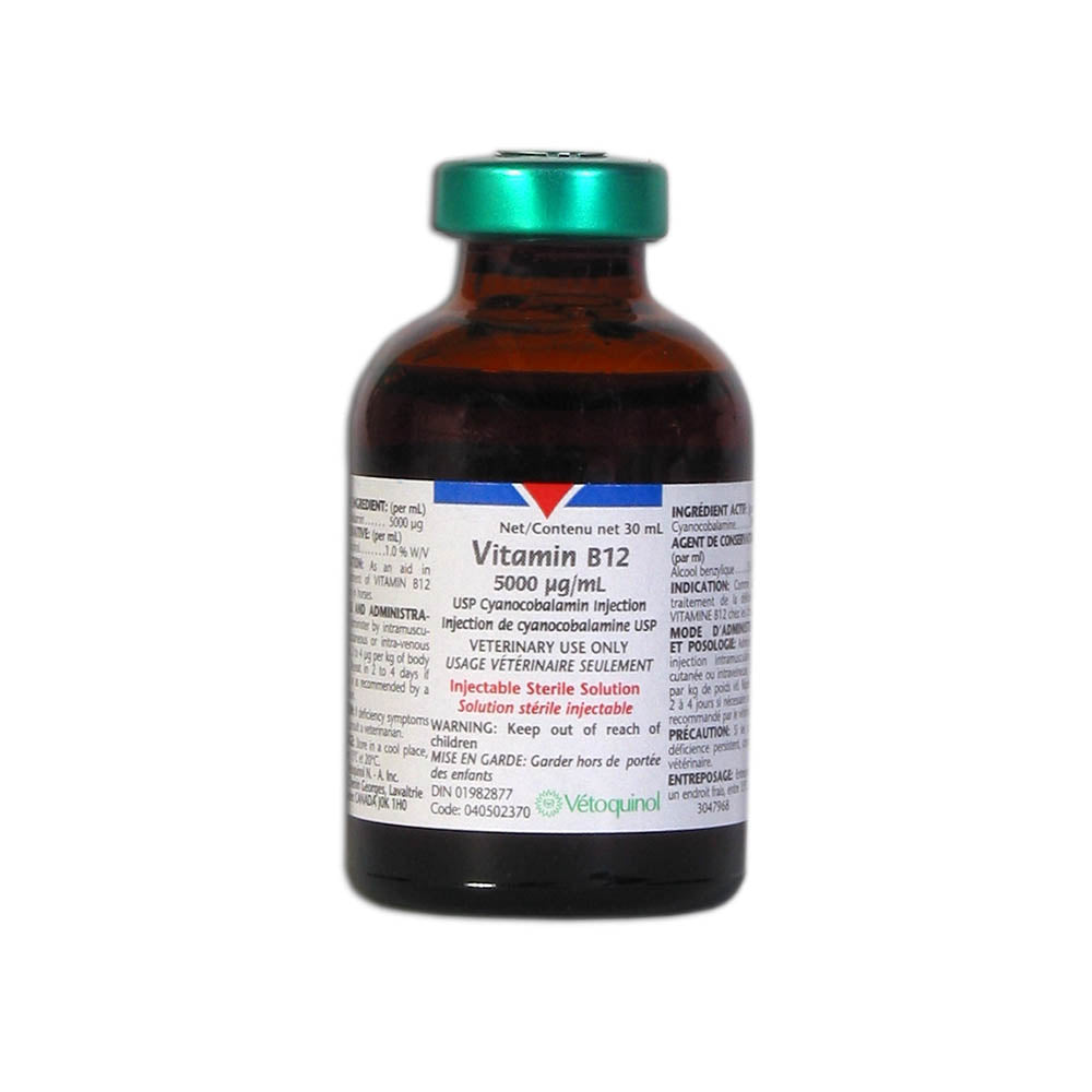 vitamin b12 shots injection Vitamin B12 shots: Uses, benefits, and side effects