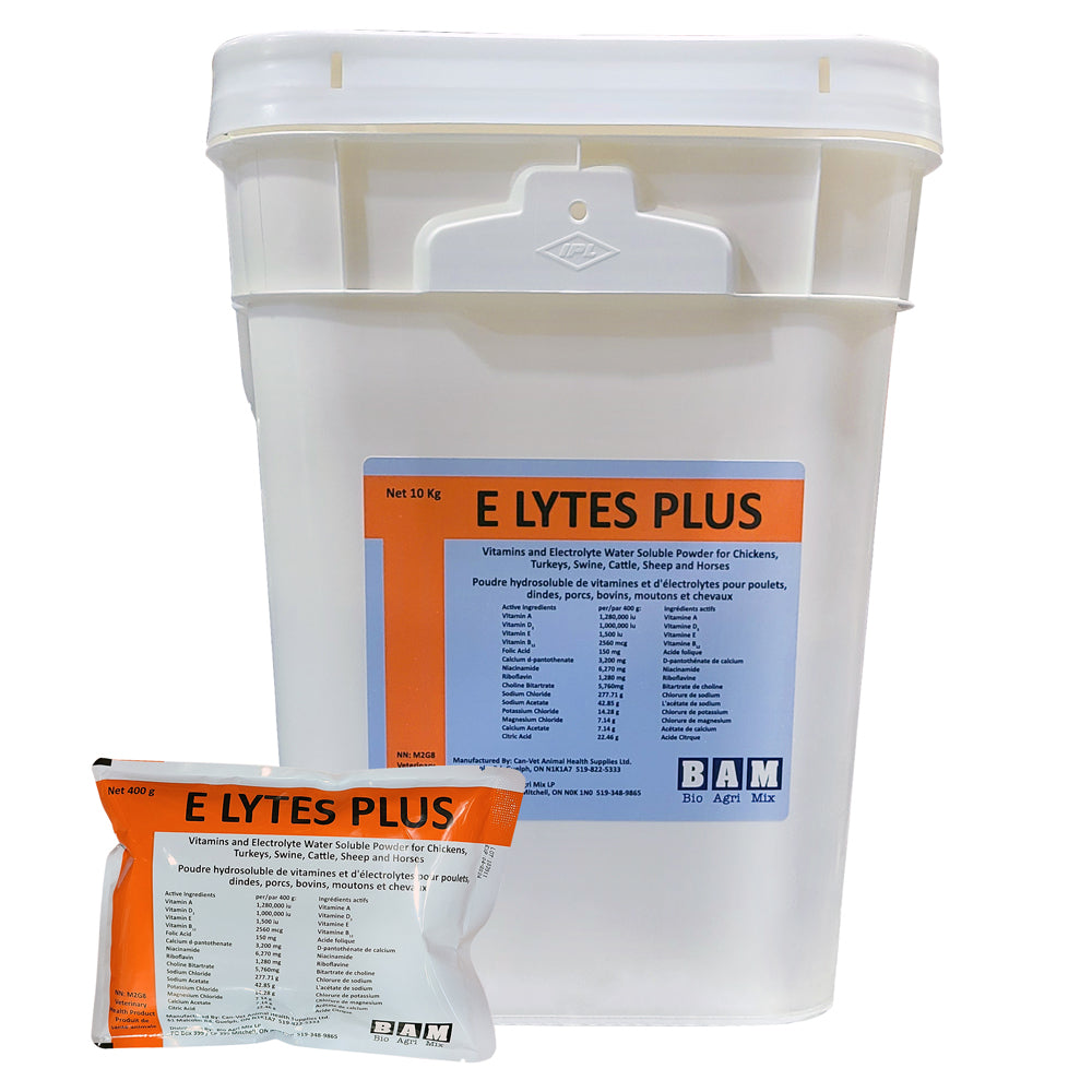 Vetoquinol Electrolytes Plus Powder