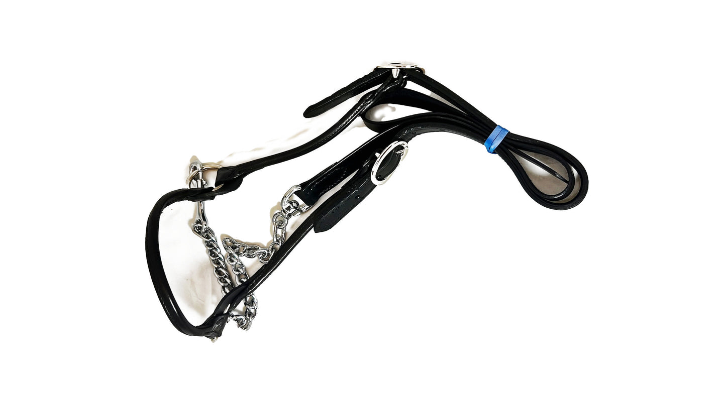 Cattle Leather Show Halter