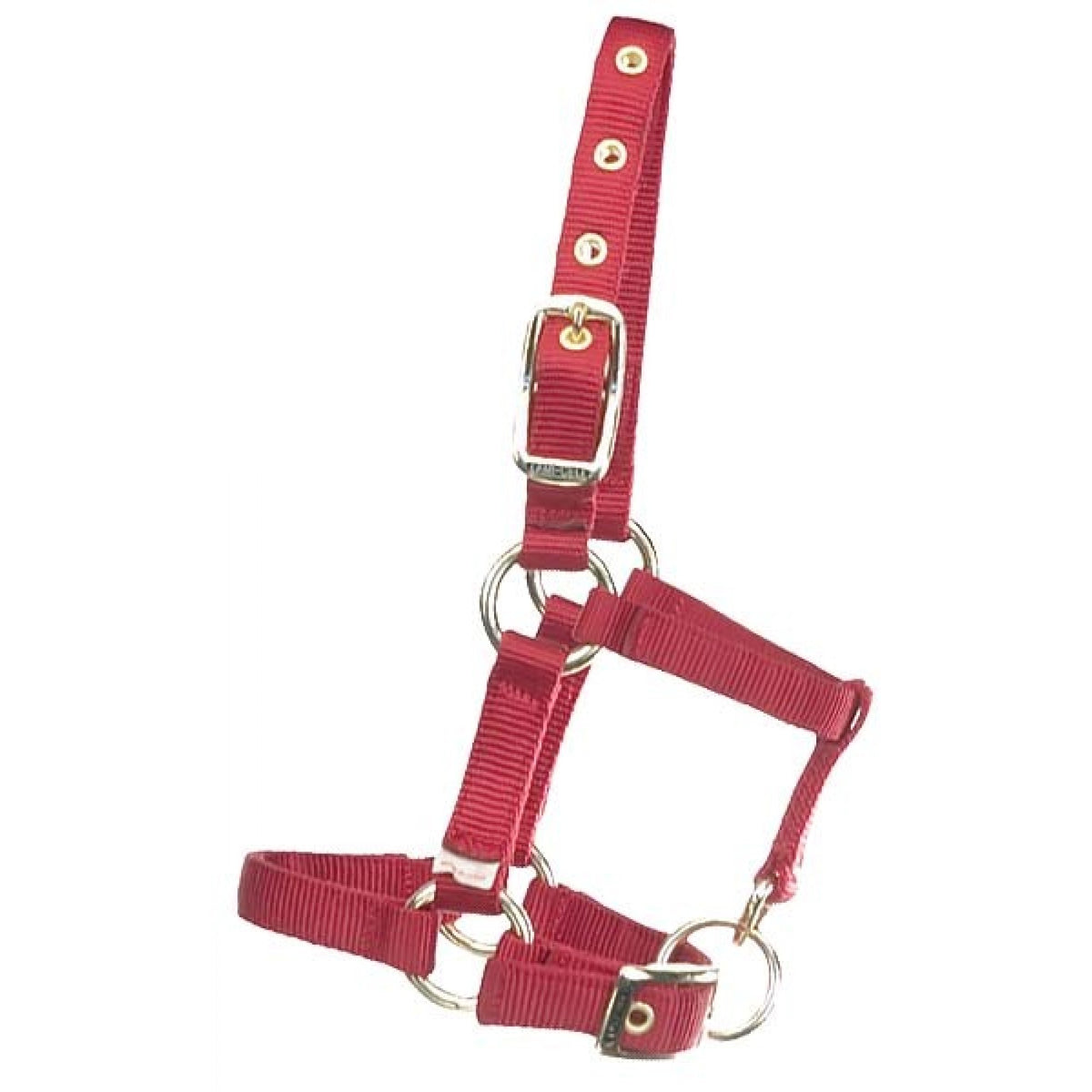 Miniature Horse Halter