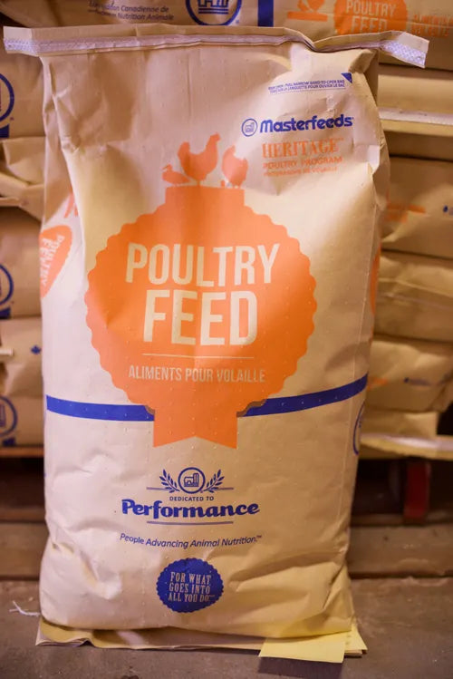 Masterfeeds 25% Turkey/ Gamebird Stater - 25kg