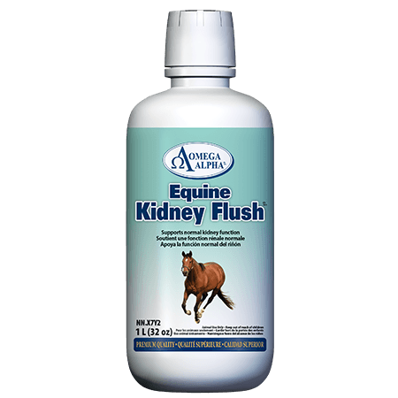 Omega Alpha Equine Kidney Flush