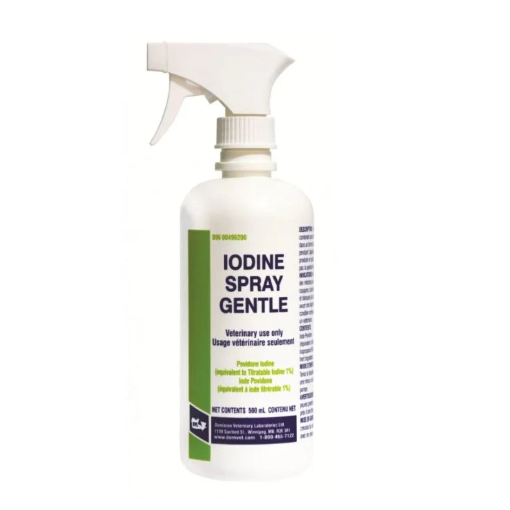 DVL Iodine Spray 1%