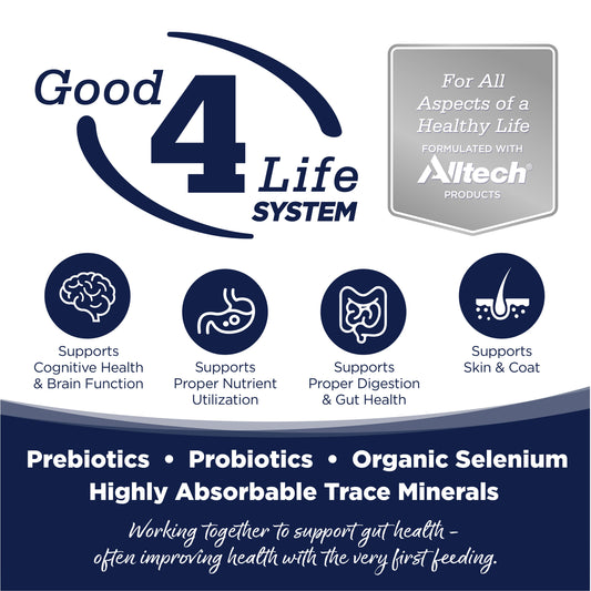 Nutri Source Grain Free Woodlands Select