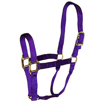 Signature Classic Halter - No snap