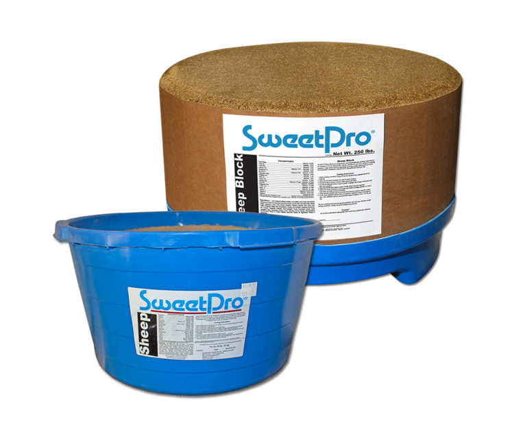 Sweetpro Sheep block 1 - 50lb