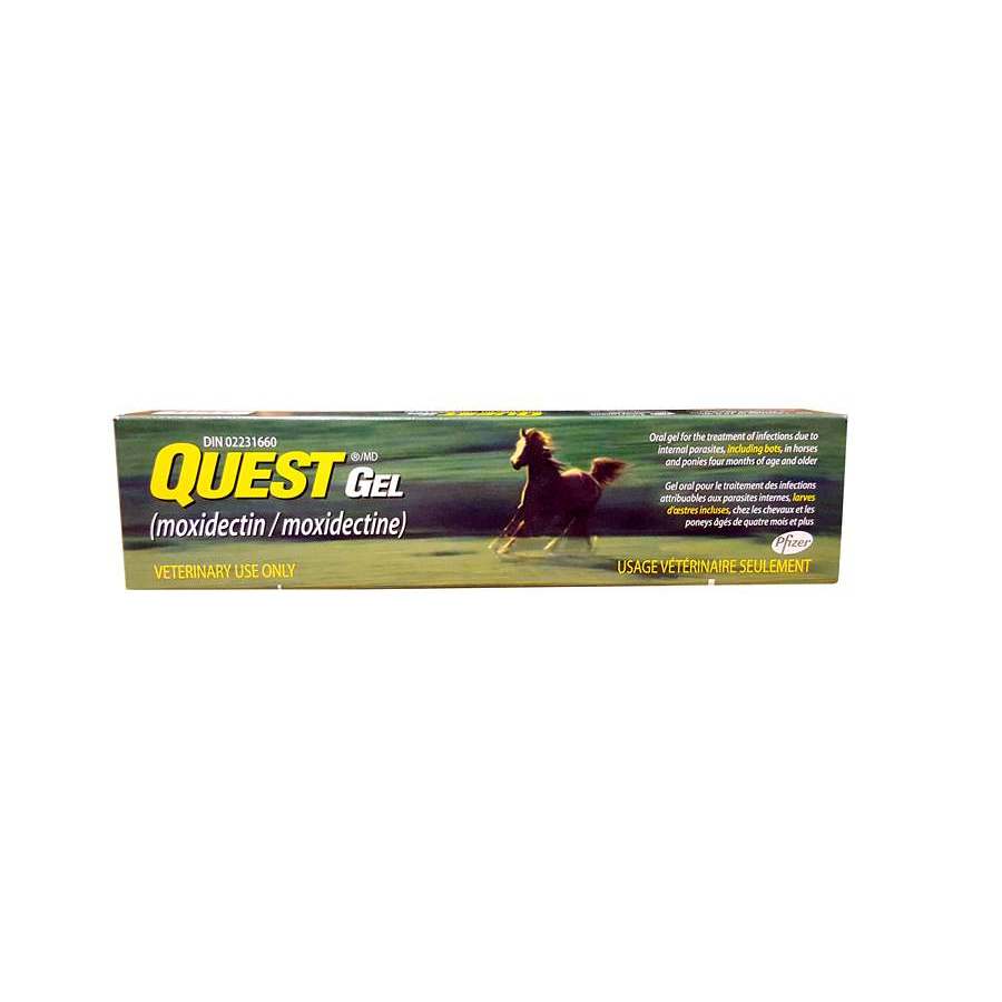 Quest Gel Horse Dewormer