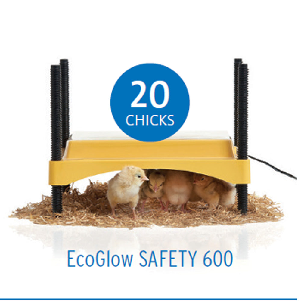 EcoGlow Safety600 Chick Brooder