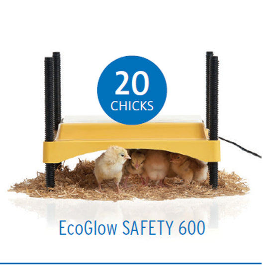 EcoGlow Safety600 Chick Brooder