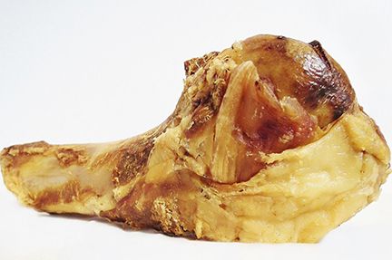 Beef - Humerous Bone