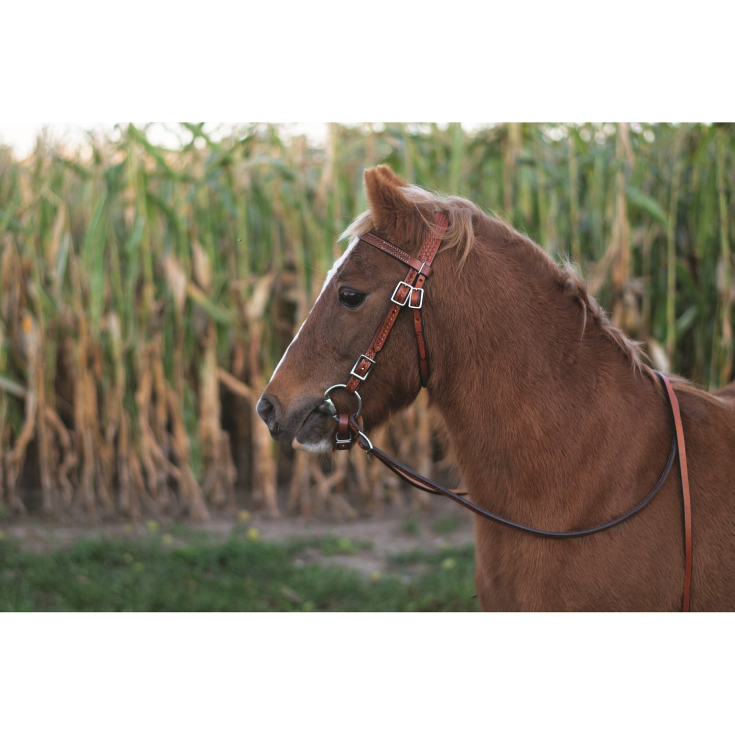 Basketweave Pony Bridle/Reins