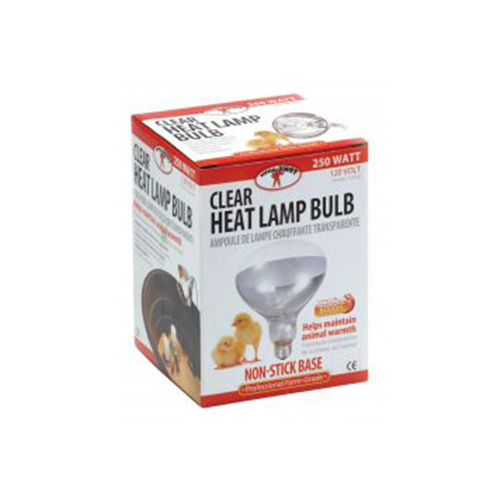 White Heat Bulb - 250Watt