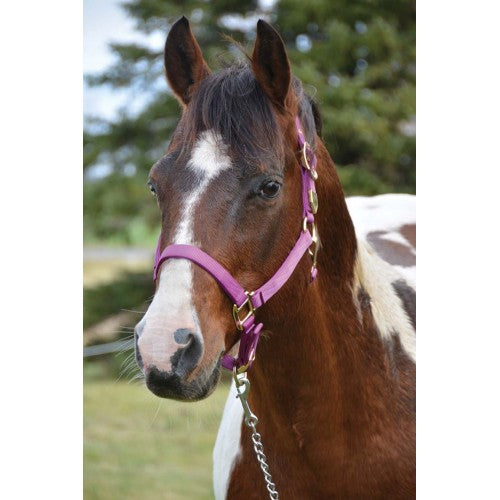 Signature Classic Halter with Snap