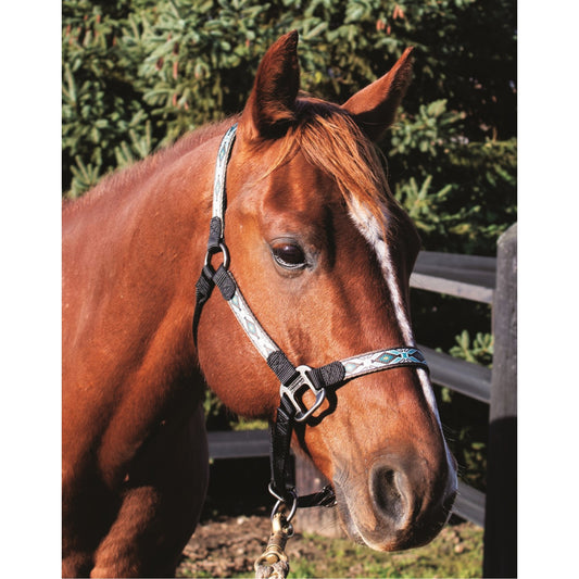 Western Rawhide Halter with Silver Hardware