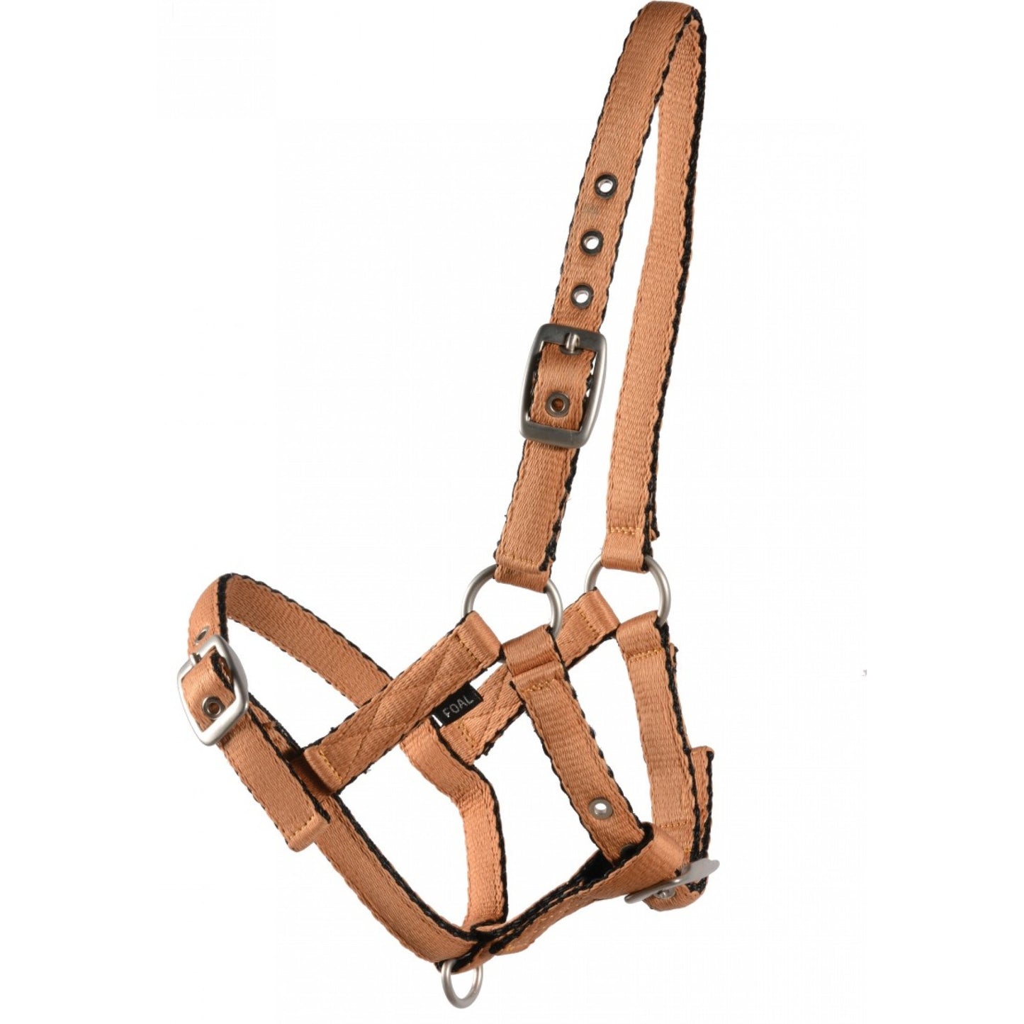 Cushion Web Halter -  Foal