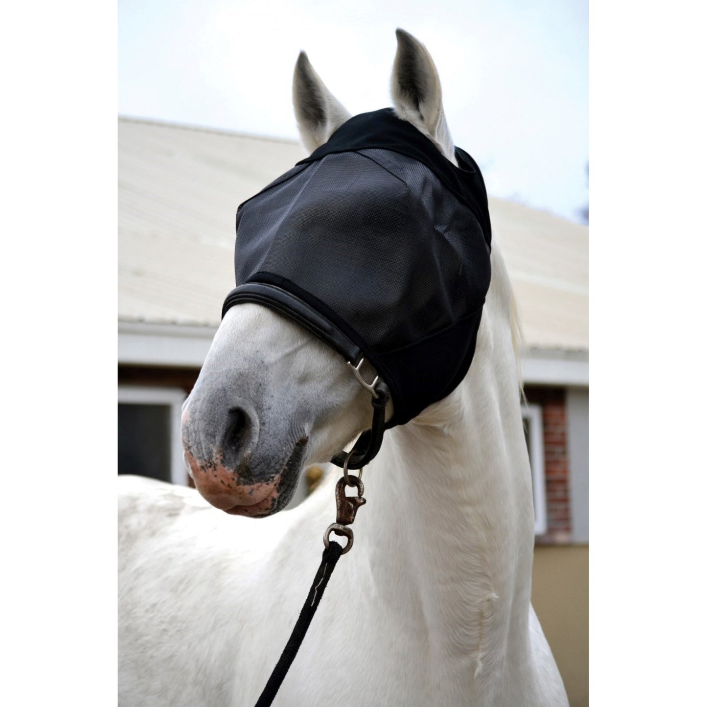 UltraShield Fly Mask Without Ears