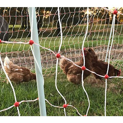 Poultry Netting 48"x82'
