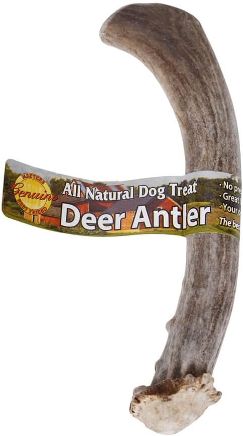 MBF All Natural Deer Antler