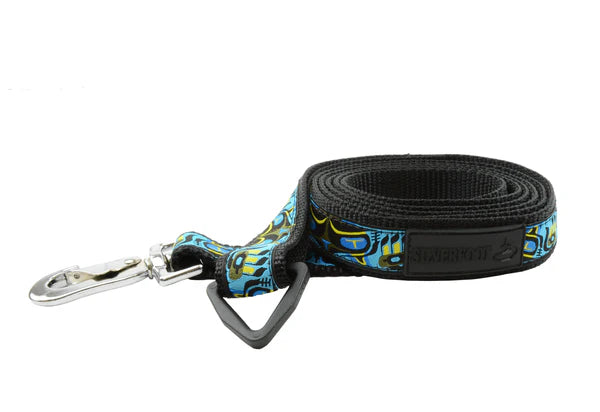 Leash - 6ft - 1" Wide