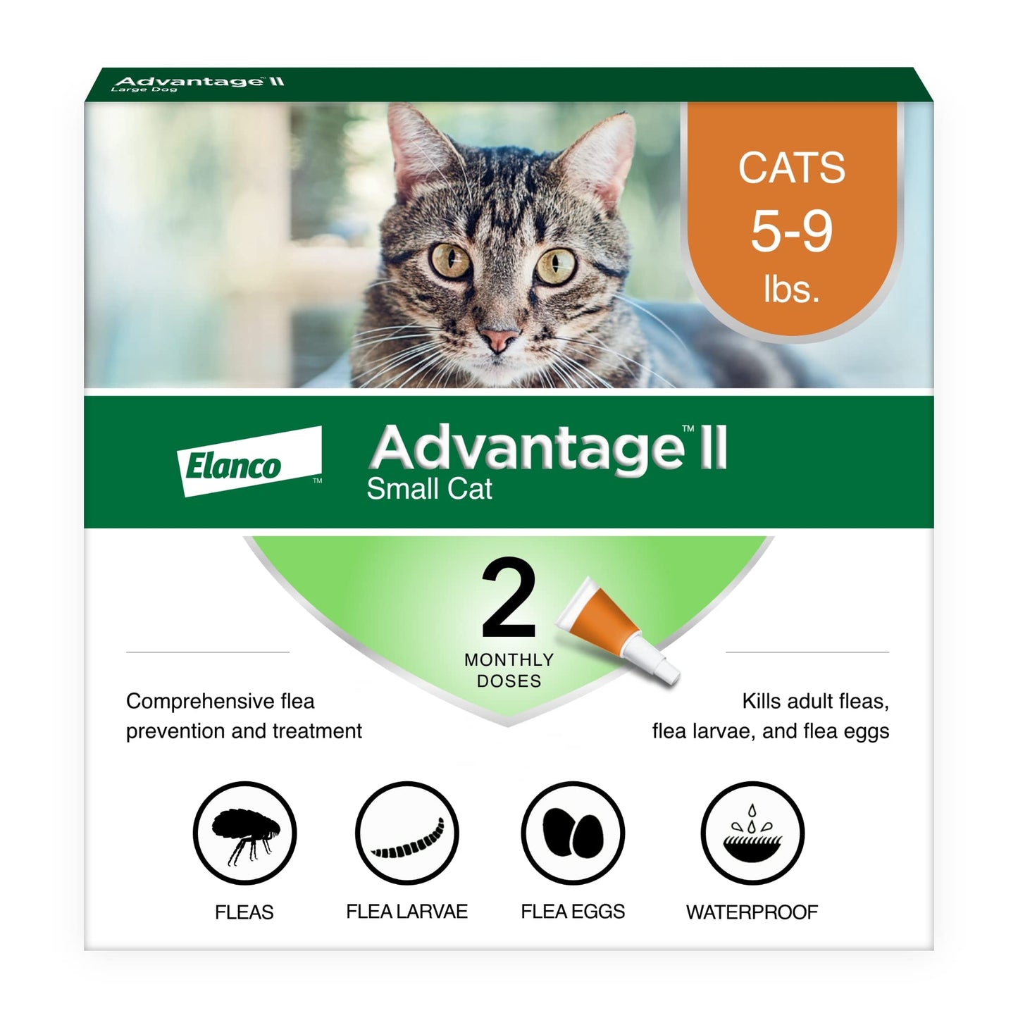 Advantage II - Cat