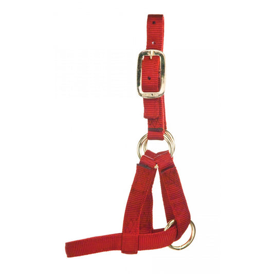 Hamilton Goat Halter (Nanny)