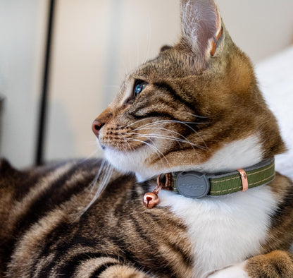 Rogz UrbanCat Safety Release Collar