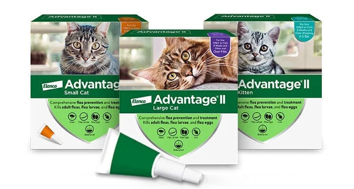 Advantage II - Cat