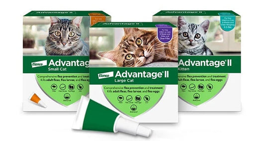 Advantage II - Cat