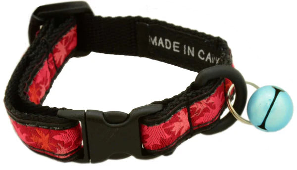 Kitten/ Toy Dog Collar