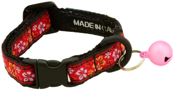 Kitten/ Toy Dog Collar