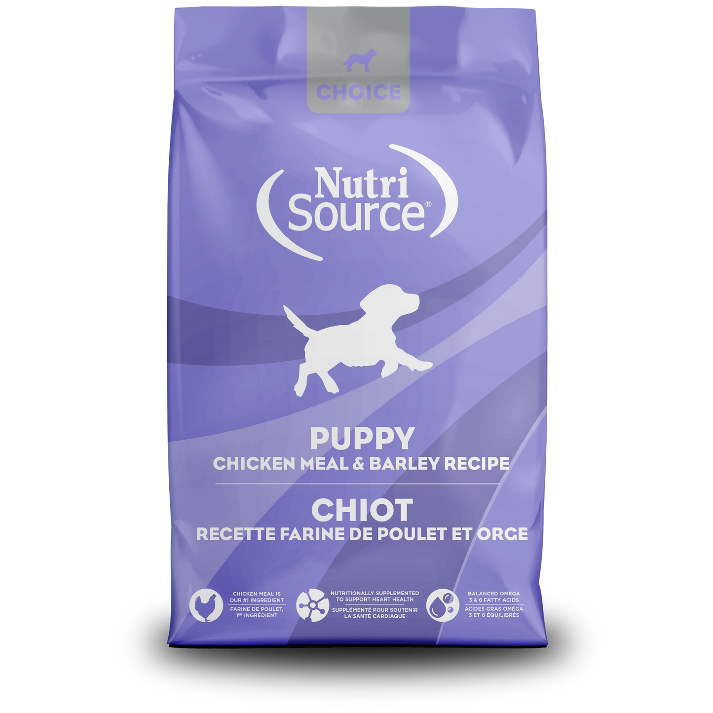 Choice Puppy
