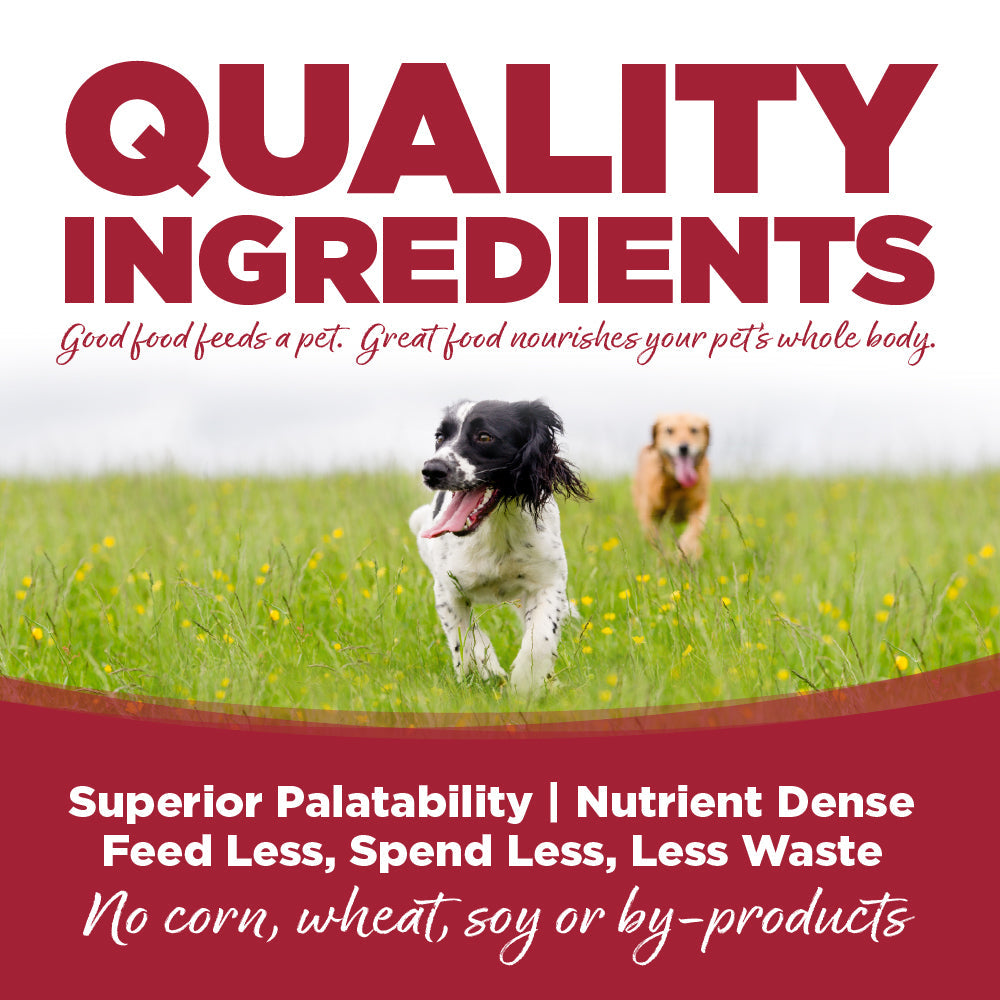 Beef and Barley Recipe Dog Cans