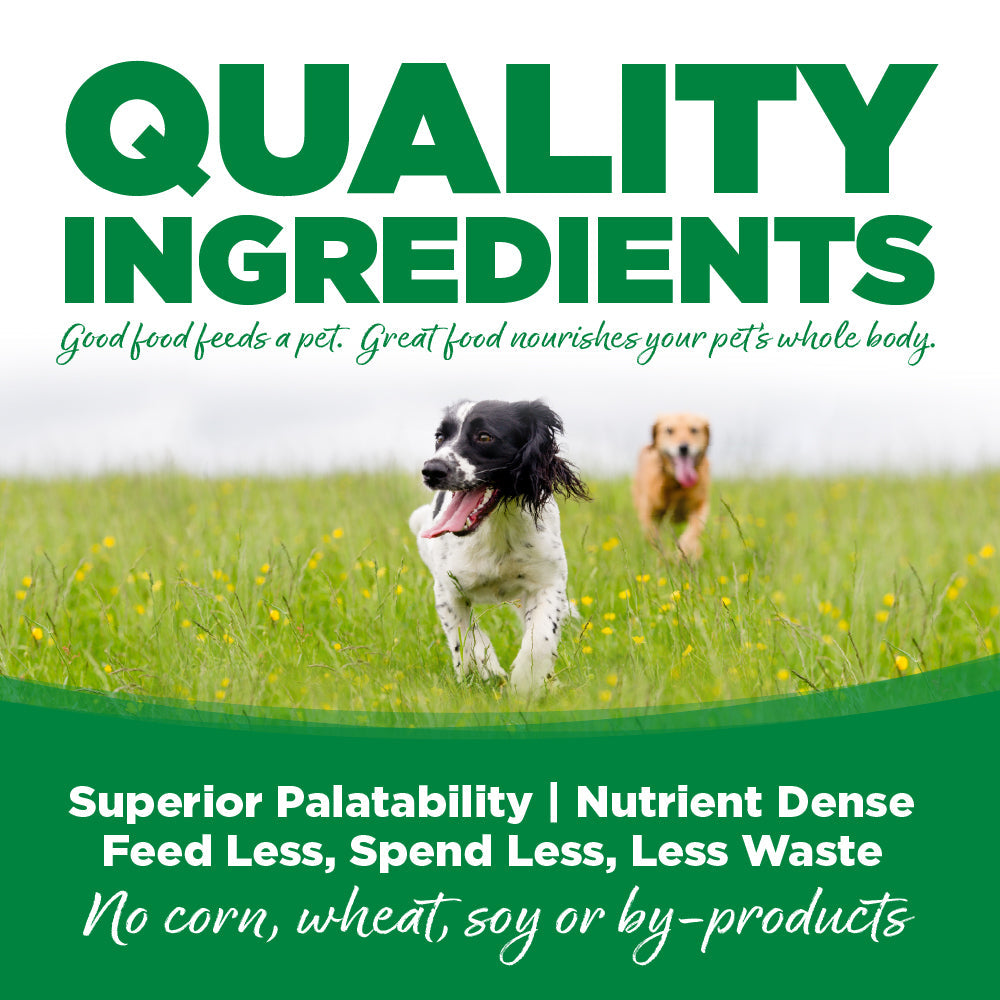 Chicken and Barley Dog Cans
