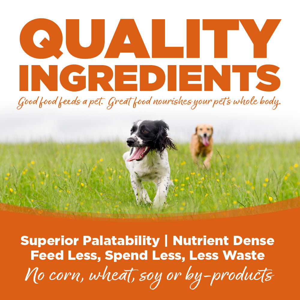Turkey & Barley Recipe Dog Cans