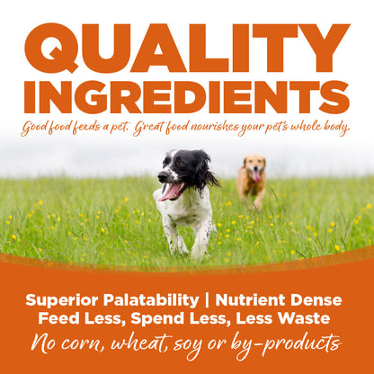 Turkey & Barley Recipe Dog Cans