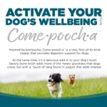 Come-Pooch-a Chicken Broth