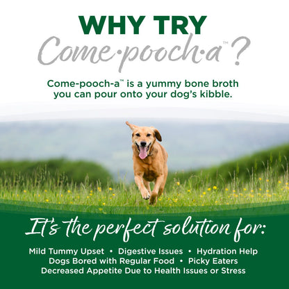 Come -Pooch-A Turkey Broth