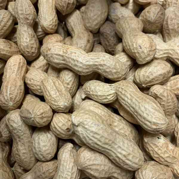 Peanuts - In Shell 20kg