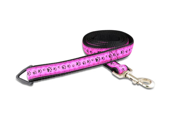 Leash - 6ft - 1" Wide