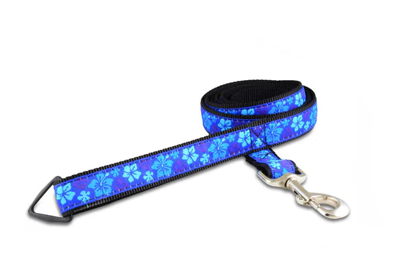 Leash - 6ft - 1" Wide