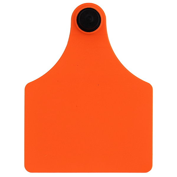 Allflex Complete Maxi Tags
