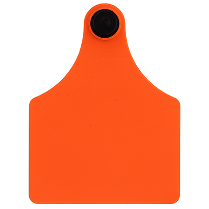 Allflex Complete Maxi Tags - 25pk