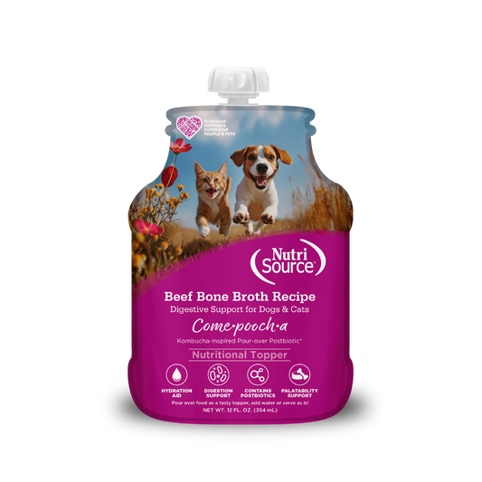 Come-Pooch-a Beef Broth