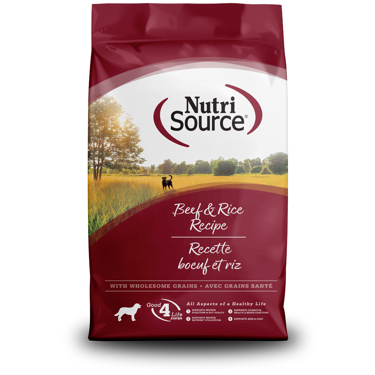 Adult Beef & Rice