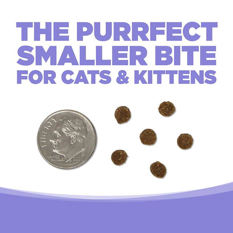 Chicken & Salmon Select Cat Food
