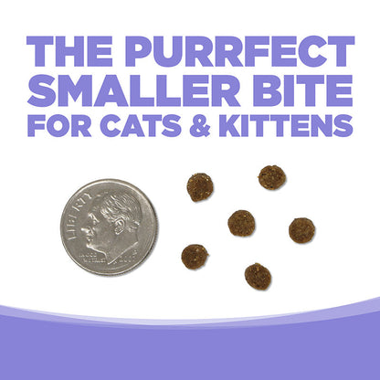 Chicken & Salmon Select Cat Food