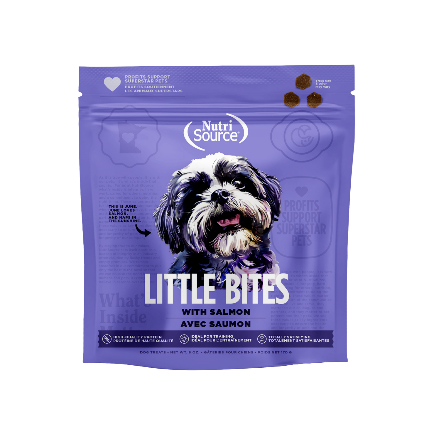 Little Bites with Salmon