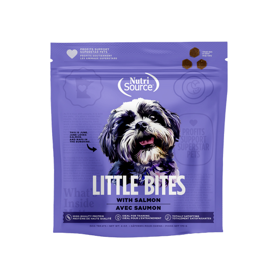 Little Bites with Salmon