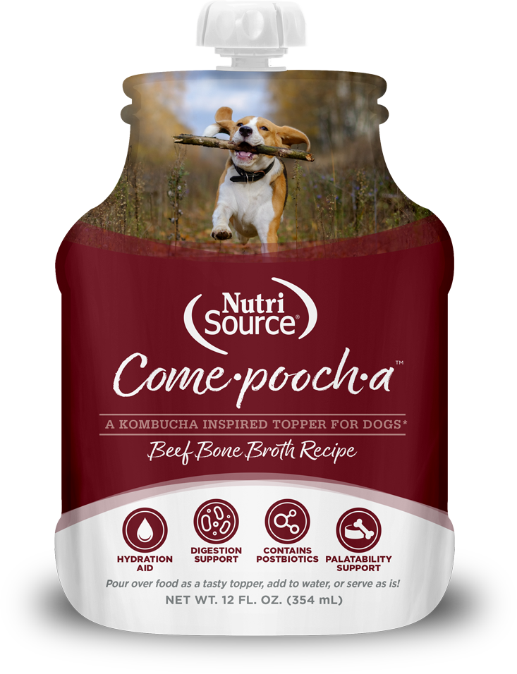 Nutri Source Come-Pooch-a Beef Broth - 12oz