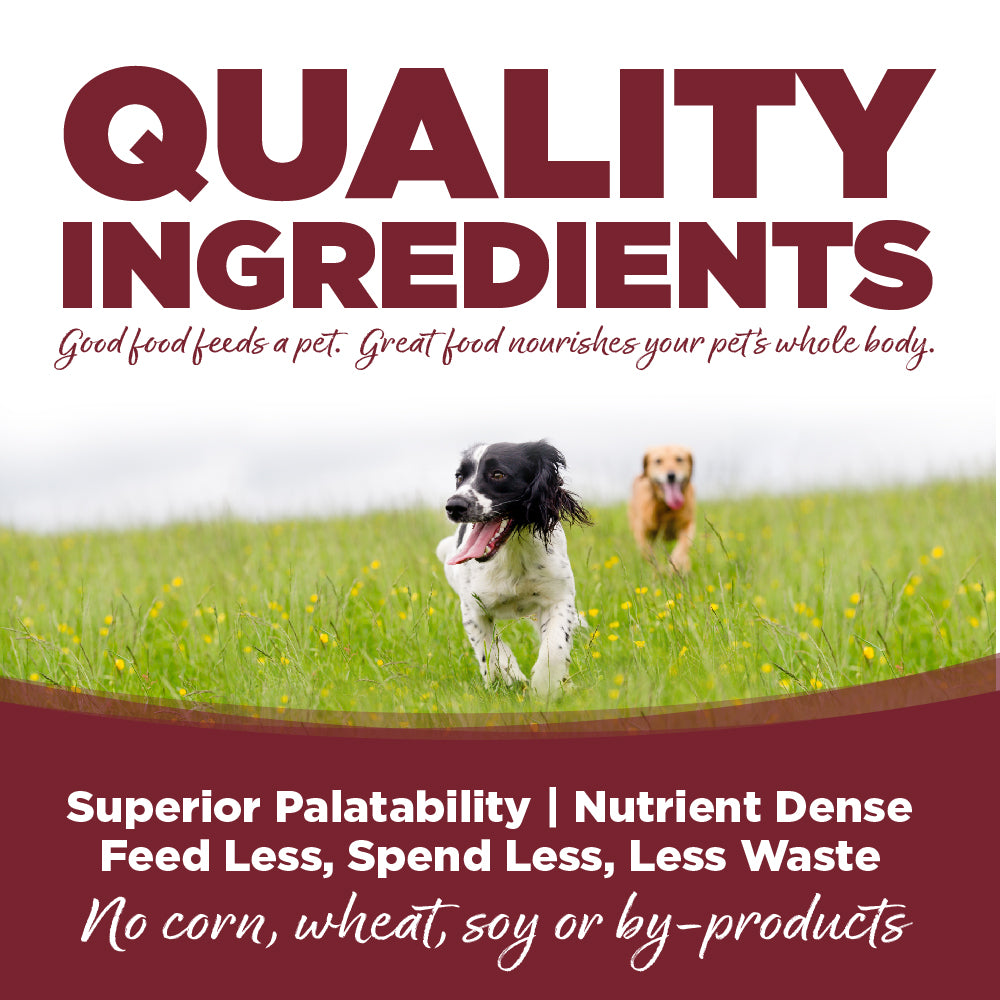 Beef & Rice Dog Wet Food